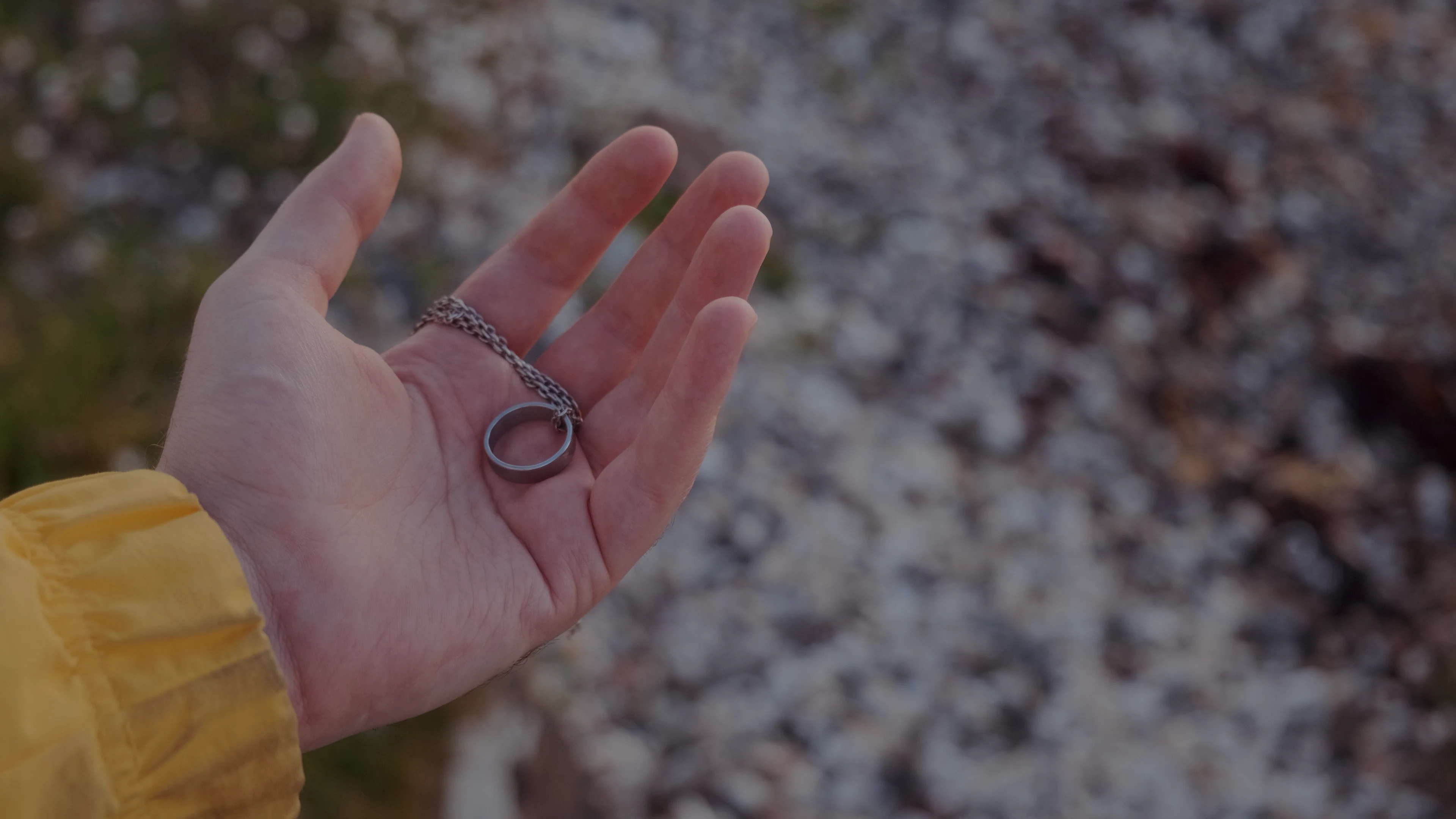 But Not For You media 2