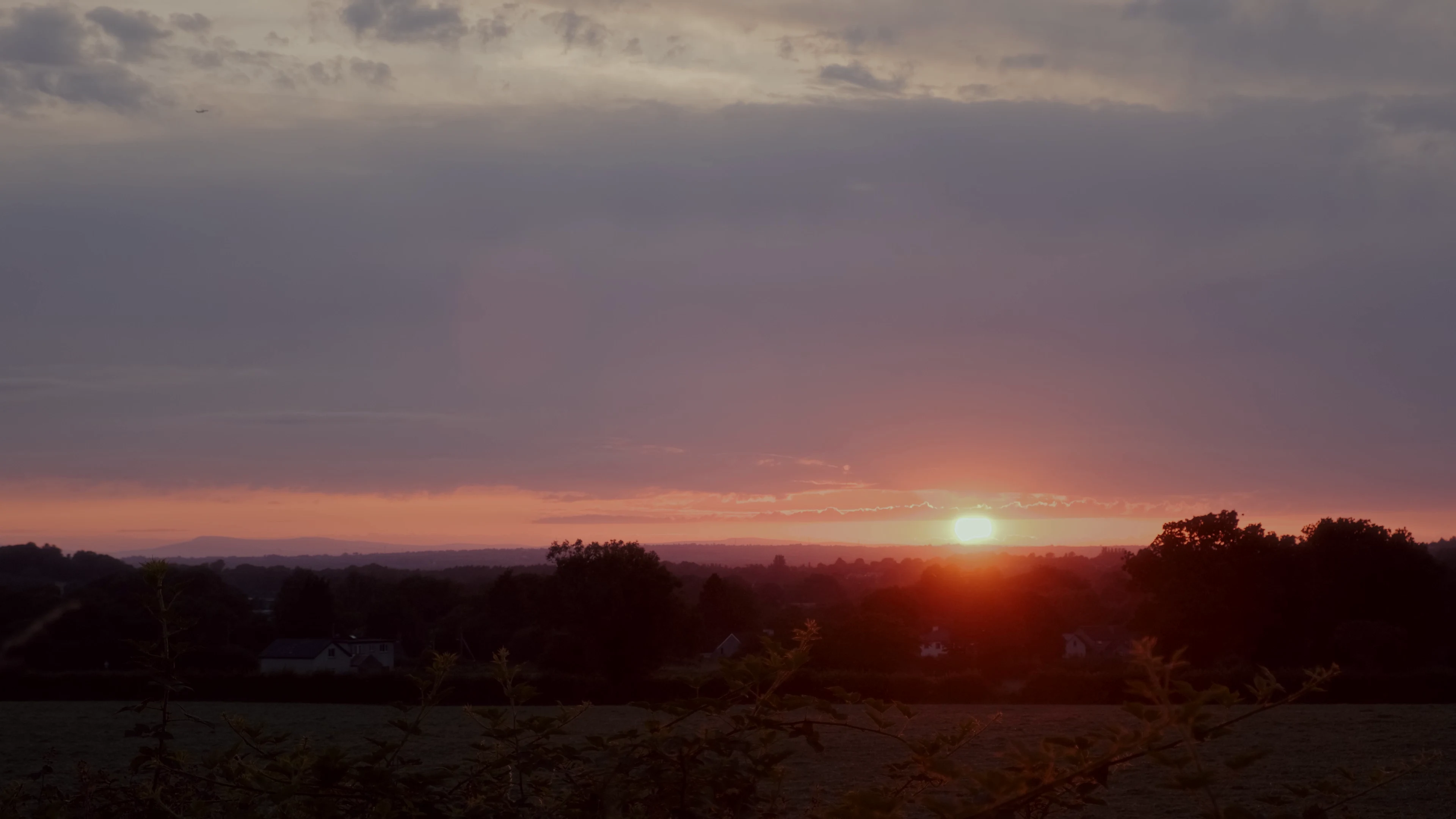 But Not For You media 5