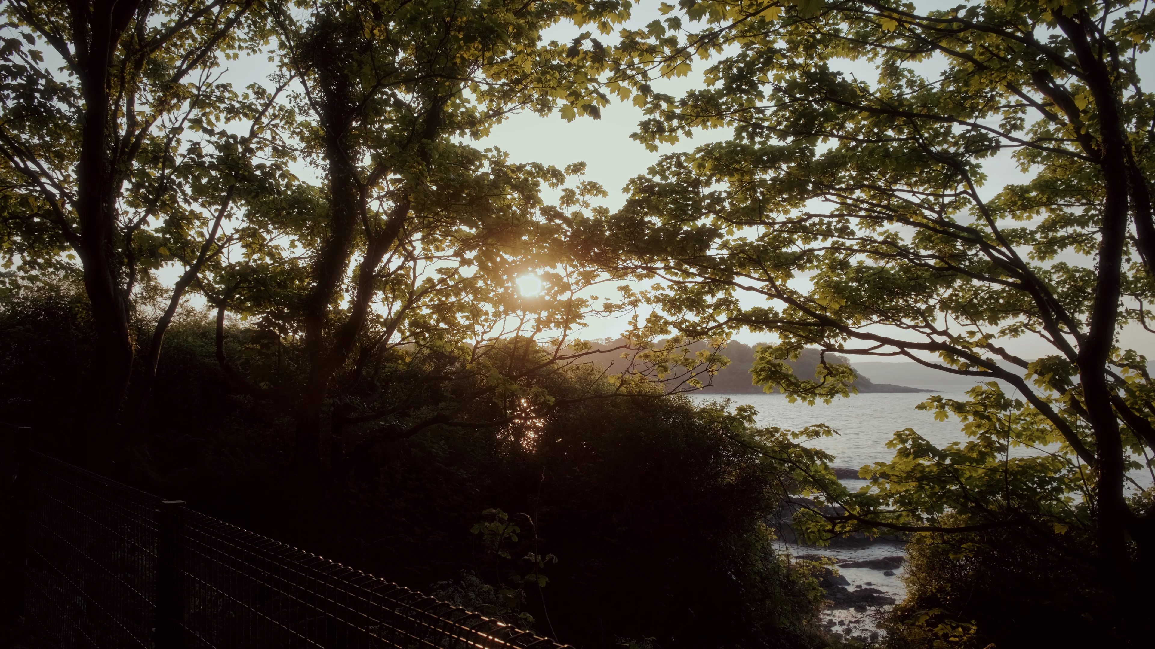 But Not For You media 6