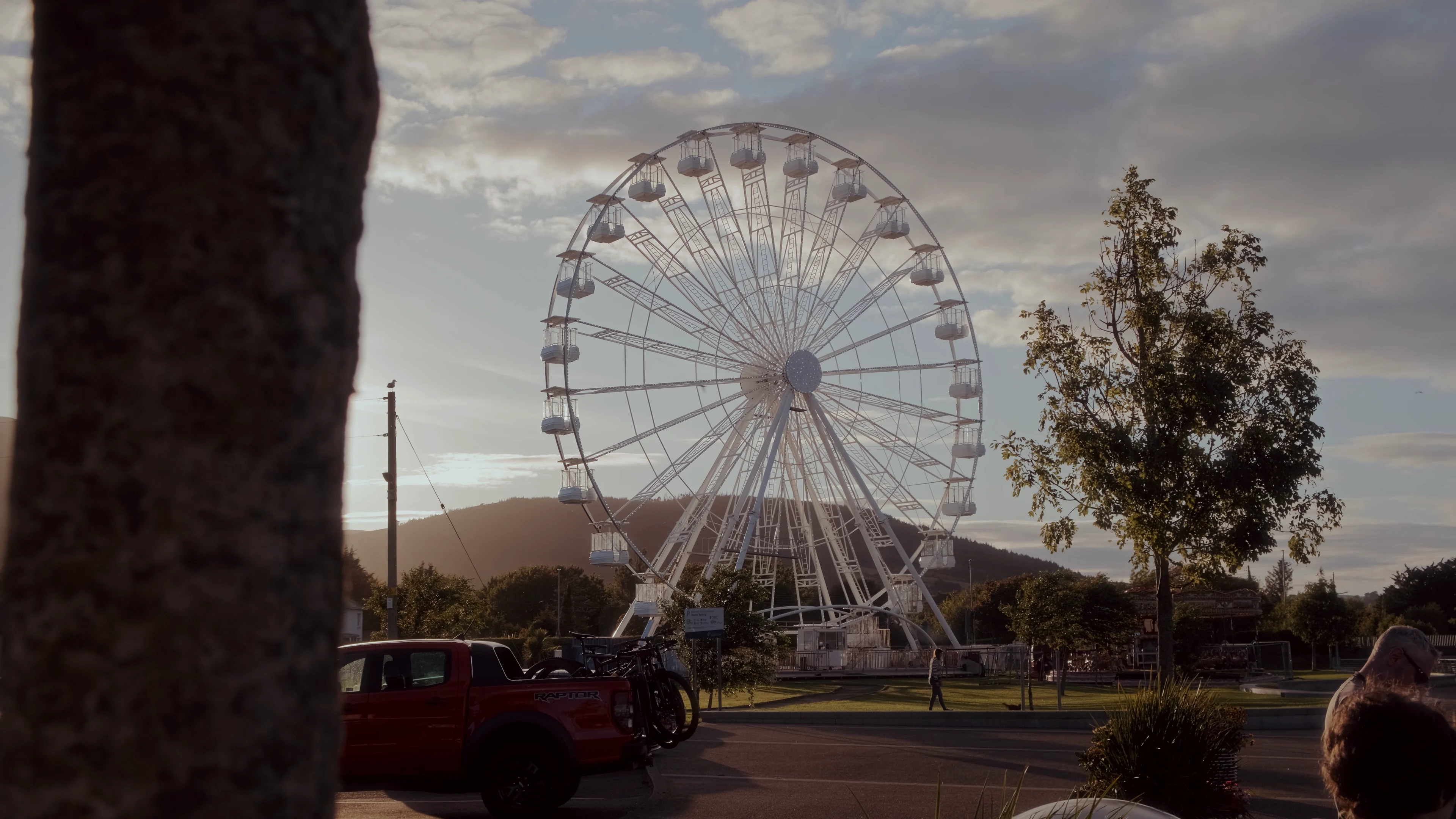 But Not For You media 7