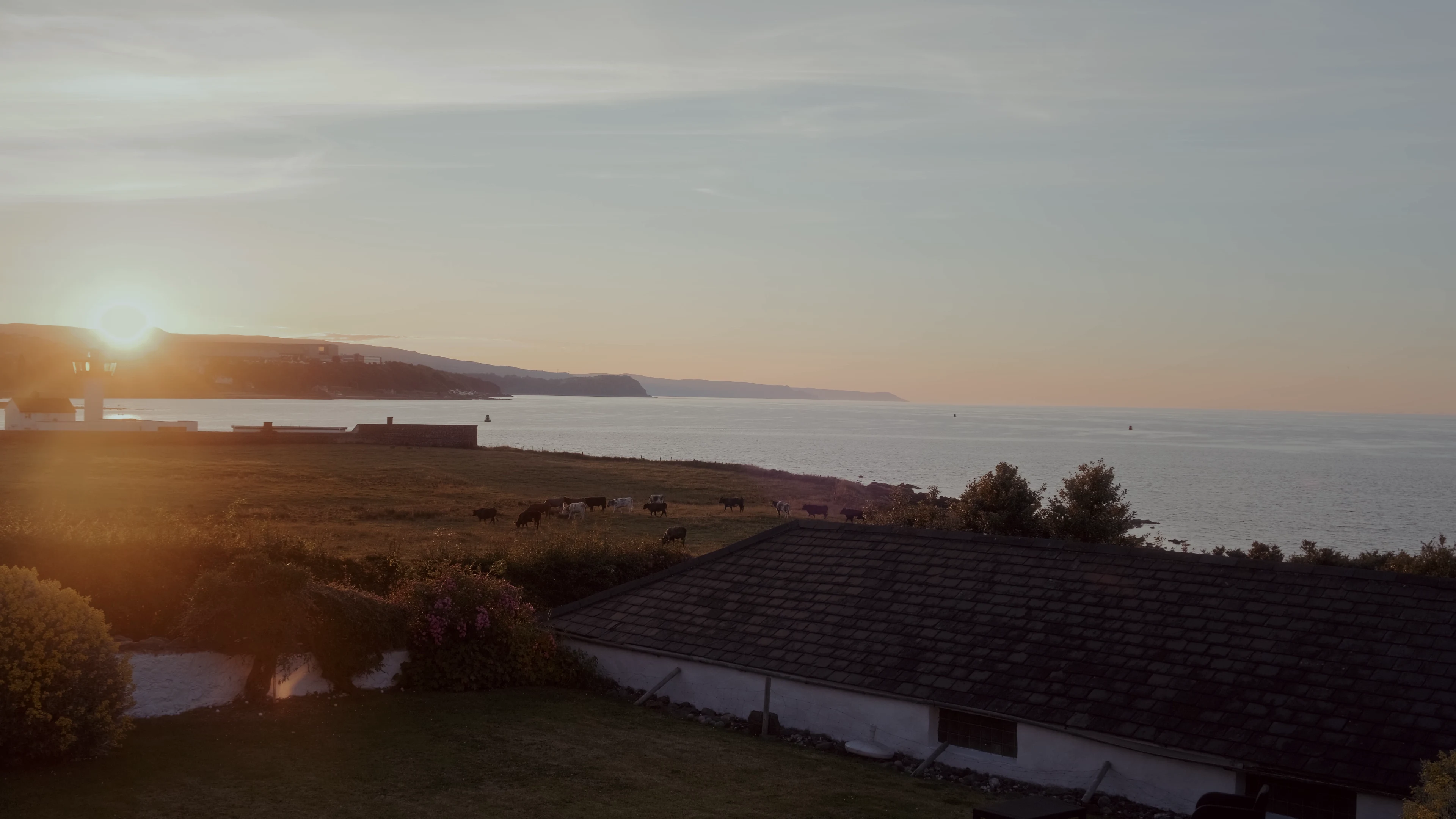 But Not For You media 13