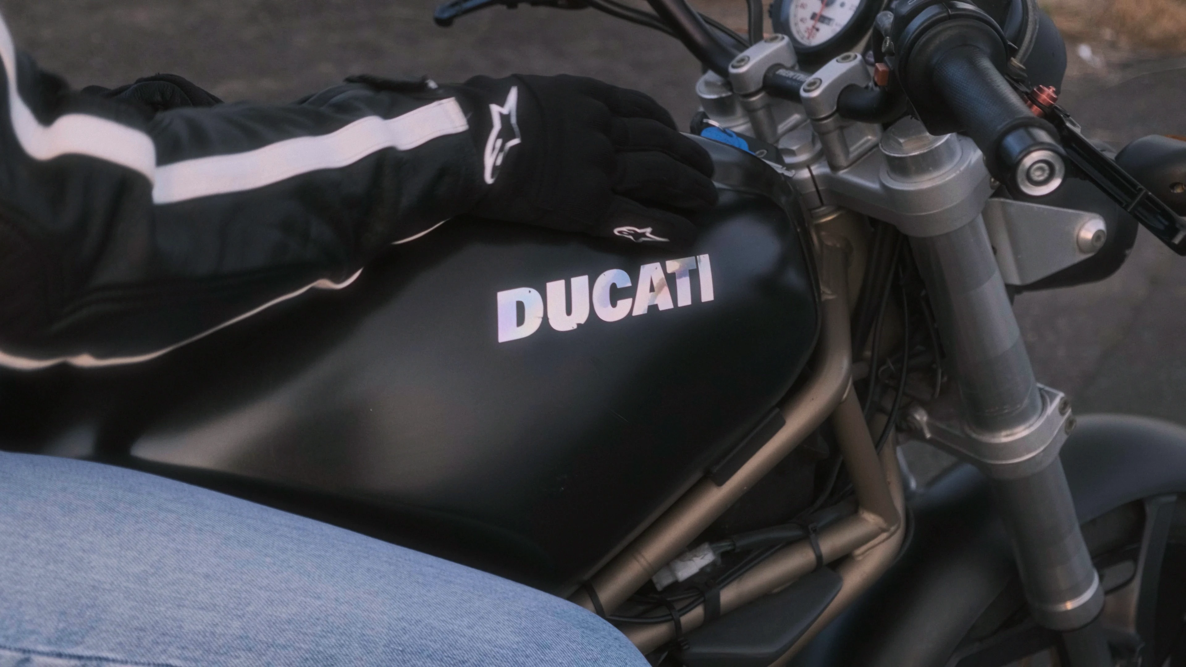 GLORIOUS DAY media 6