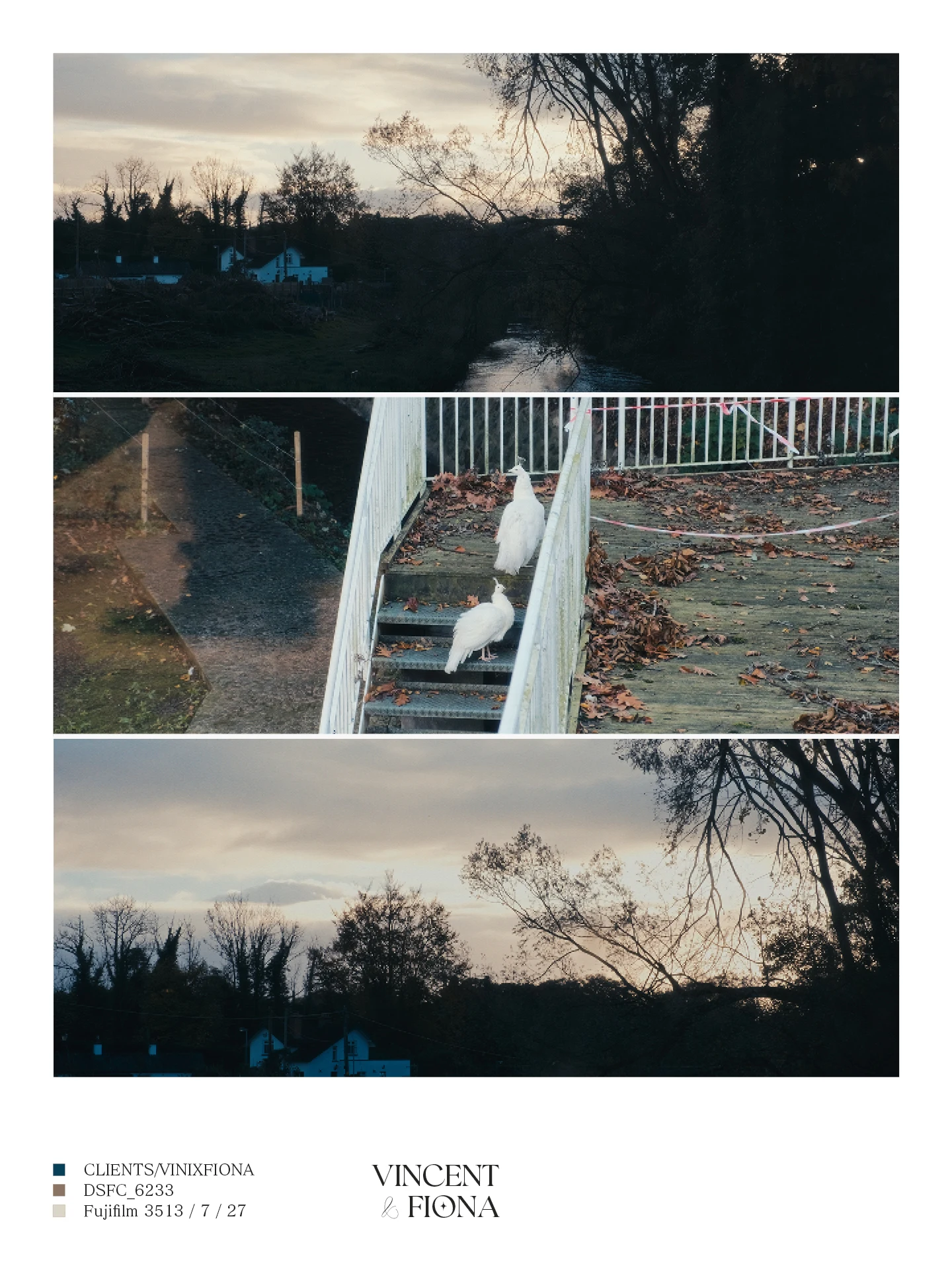 Vincent & Fiona media 7