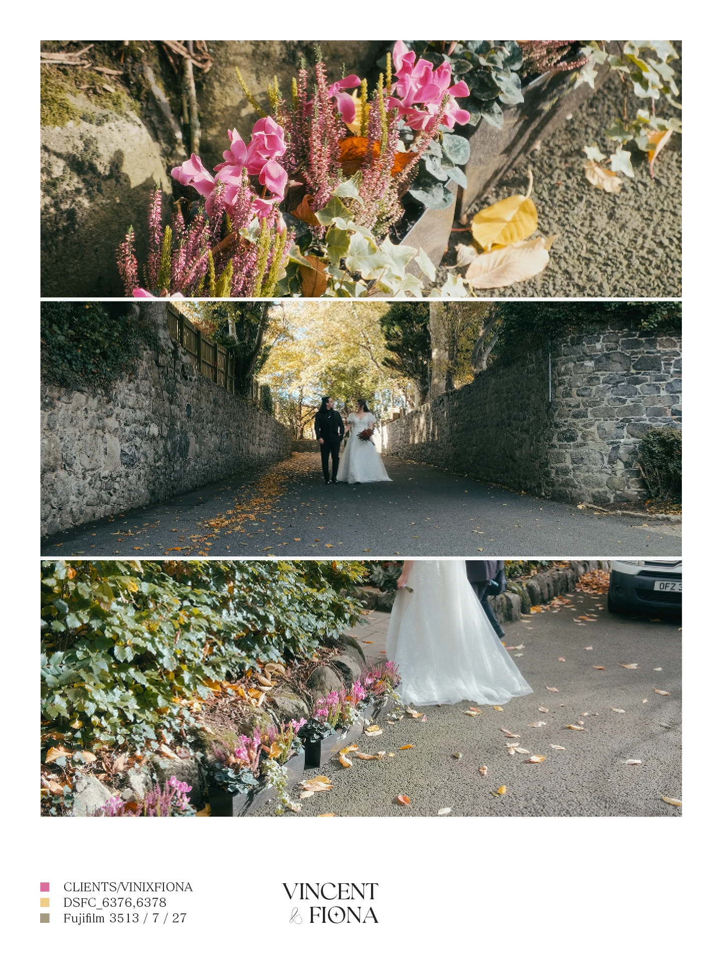 Vincent & Fiona media 4