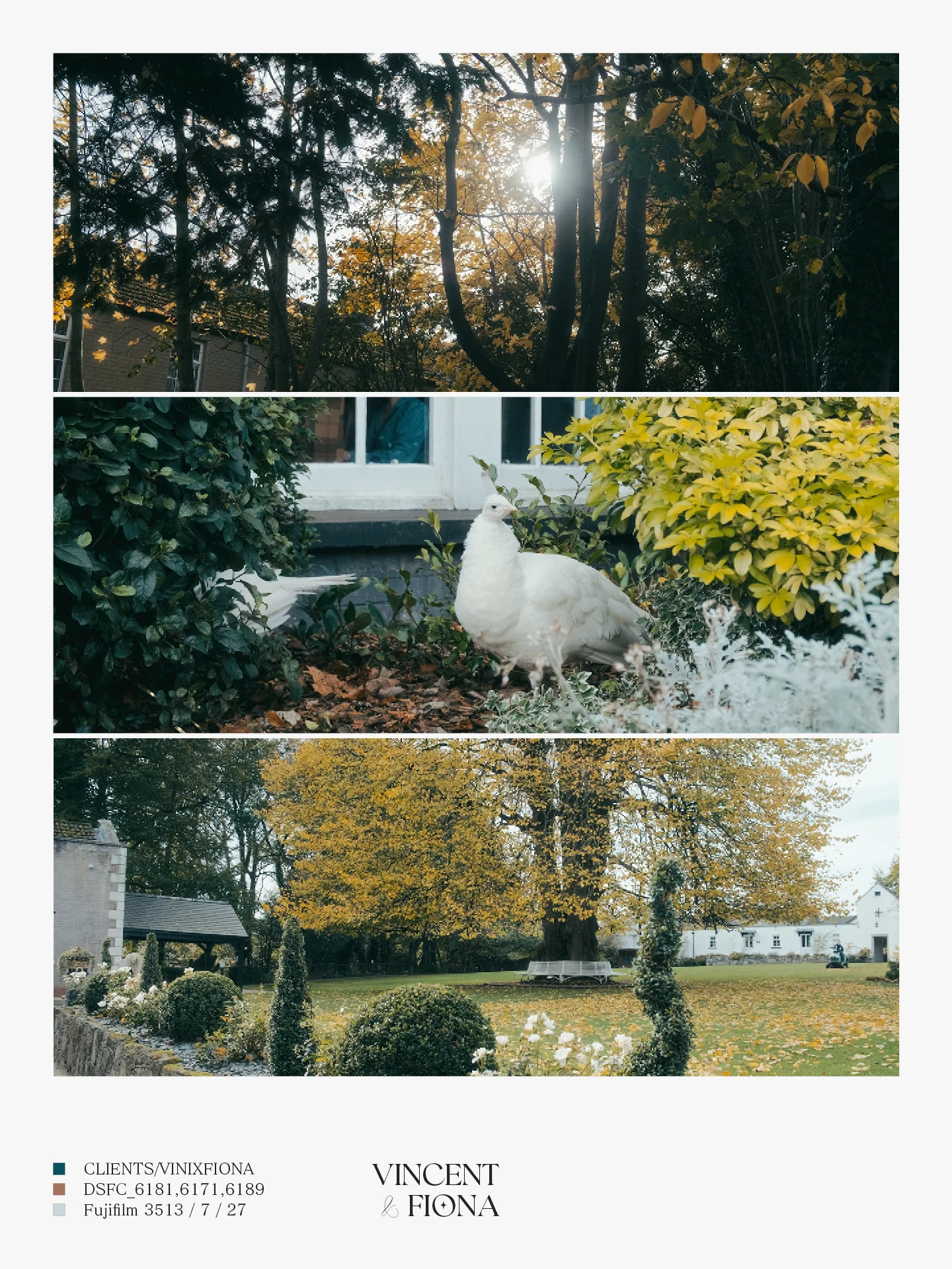 Vincent & Fiona media 3